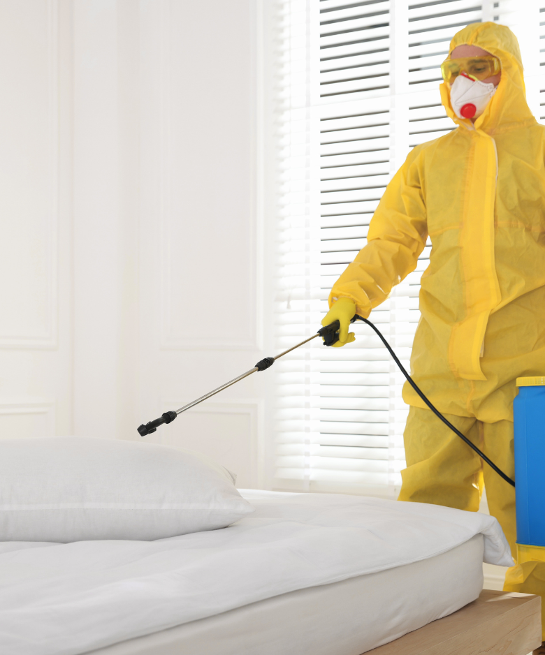 Professional Pest Control Team in Modbury North